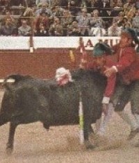 045b-bullfight